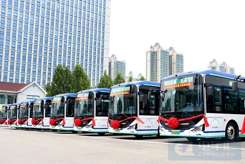 逐步取消新能源車(chē)購(gòu)買(mǎi)限制，助力城市配送運(yùn)輸服務(wù)升級(jí)